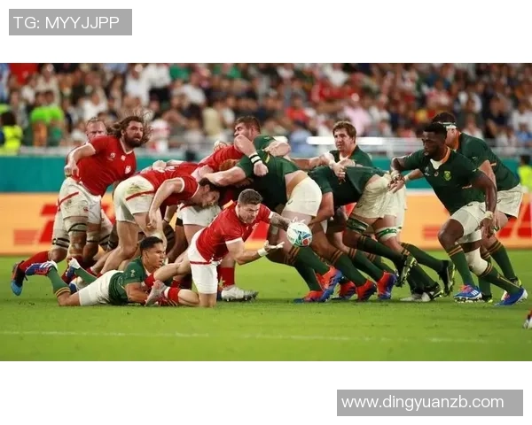 法国与南非激战正酣最终比分定格在1比2的悬念之中